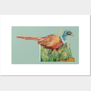 Ring Neck Pheasant Posters and Art